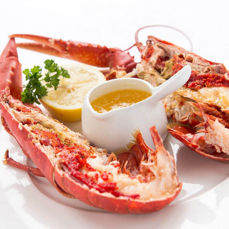 Lobster -Ahernes 800x800