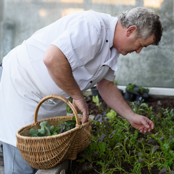 Ahernes Vegetable Garden